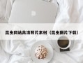 灯塔昆虫网站高清照片素材（昆虫图片下载）