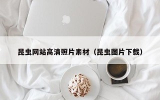 灯塔昆虫网站高清照片素材（昆虫图片下载）